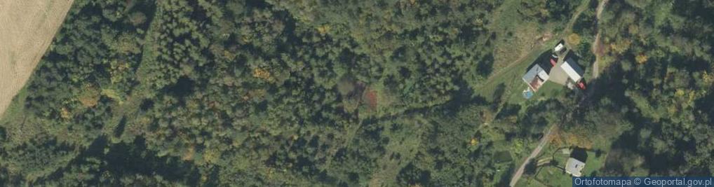 Zdjęcie satelitarne Maszkowice ul.