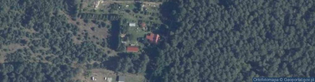 Zdjęcie satelitarne Maciejów ul.