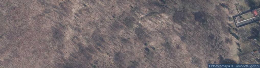 Zdjęcie satelitarne Matki Bożej z Pilar ul.