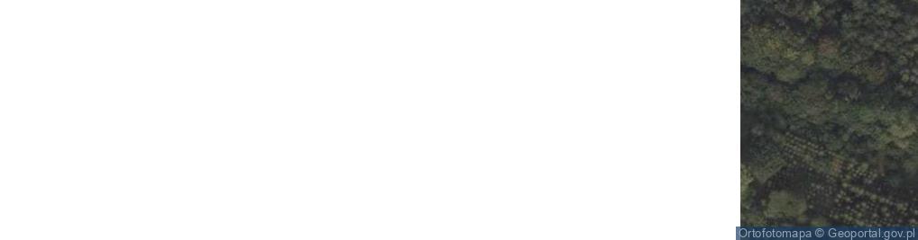 Zdjęcie satelitarne Medynia Kańczucka ul.