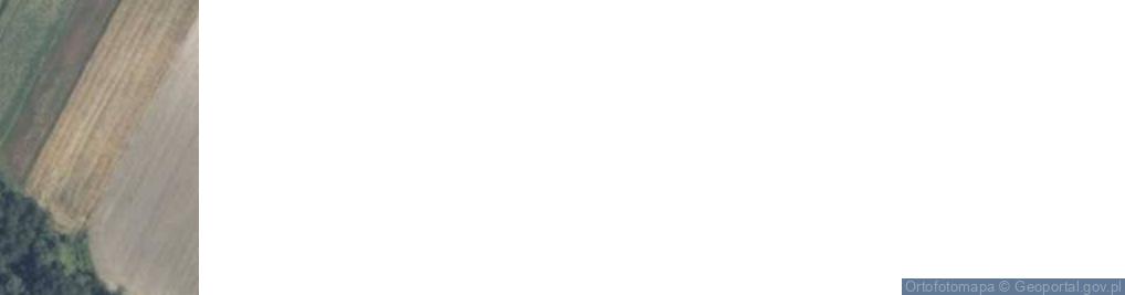 Zdjęcie satelitarne Mężenin ul.