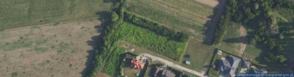 Zdjęcie satelitarne Miodowa ul.