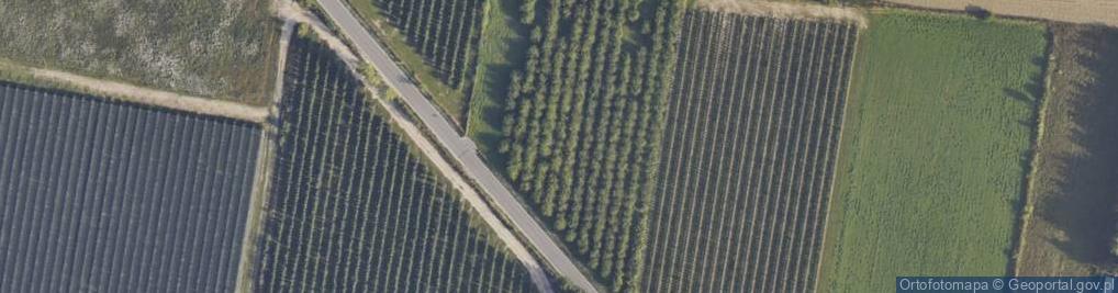 Zdjęcie satelitarne Miła ul.