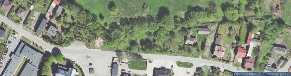 Zdjęcie satelitarne Mickiewicza Adama ul.