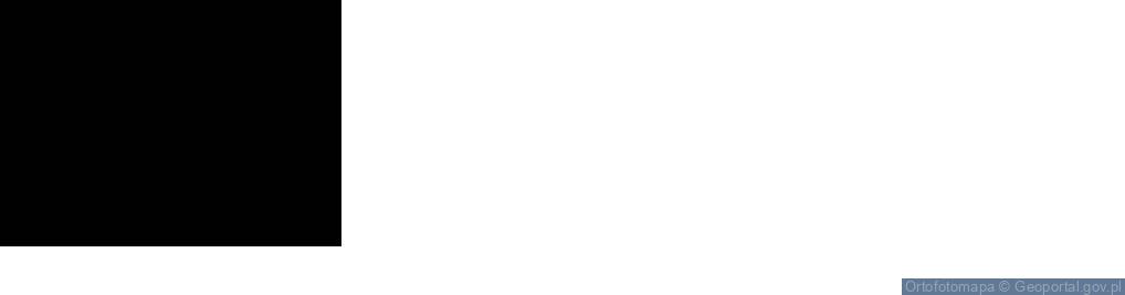 Zdjęcie satelitarne Mickiewicza Adama ul.