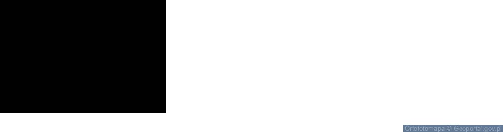 Zdjęcie satelitarne Mickiewicza Adama ul.