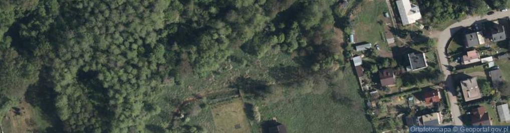 Zdjęcie satelitarne Mickiewicza Adama ul.