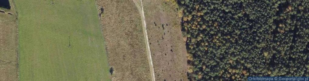 Zdjęcie satelitarne Miętowa ul.