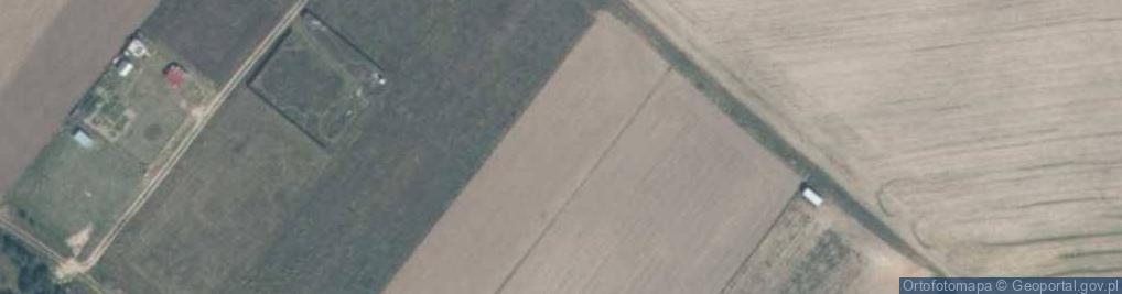 Zdjęcie satelitarne Miodowa ul.