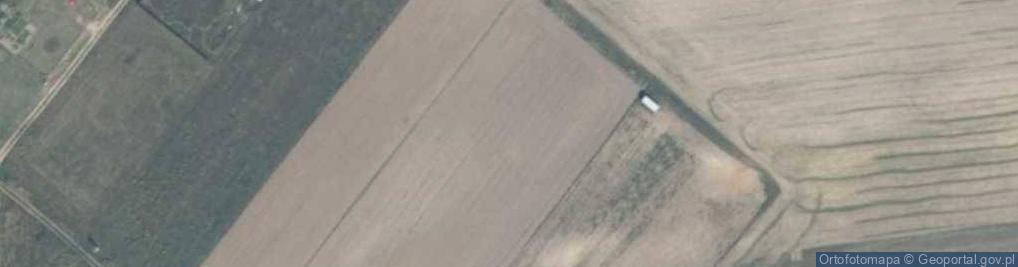 Zdjęcie satelitarne Miodowa ul.