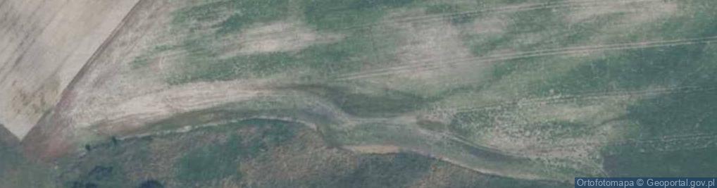 Zdjęcie satelitarne Miodowa ul.