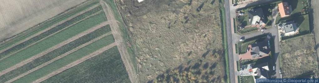 Zdjęcie satelitarne Mickiewicza Adama ul.