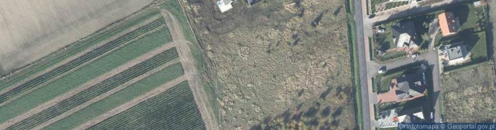 Zdjęcie satelitarne Mickiewicza Adama ul.