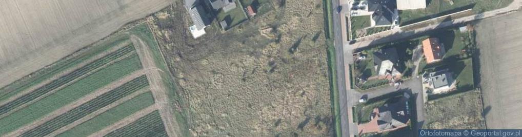 Zdjęcie satelitarne Mickiewicza Adama ul.