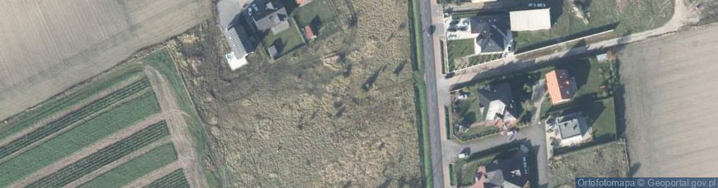 Zdjęcie satelitarne Mickiewicza Adama ul.