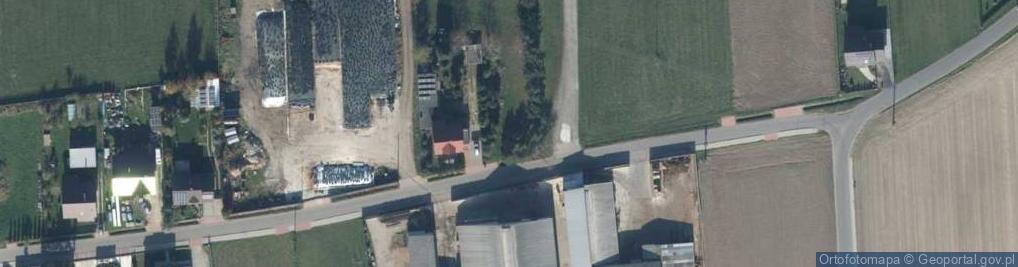 Zdjęcie satelitarne Miodowa ul.
