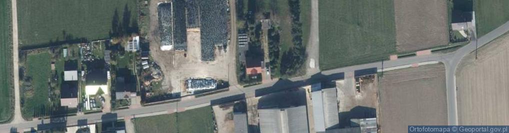 Zdjęcie satelitarne Miodowa ul.