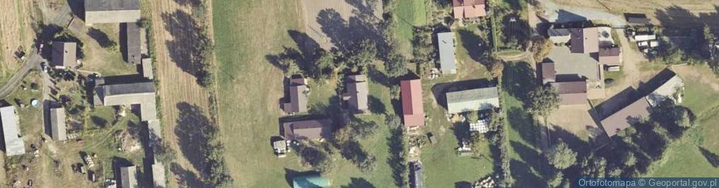 Zdjęcie satelitarne Michalinów Trąbczyński ul.