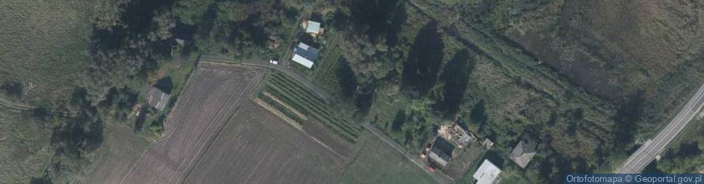 Zdjęcie satelitarne Michalów-Kolonia ul.