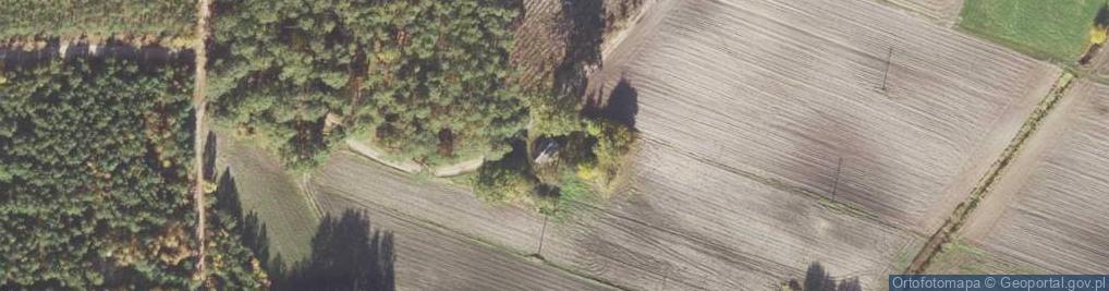 Zdjęcie satelitarne Michałów ul.