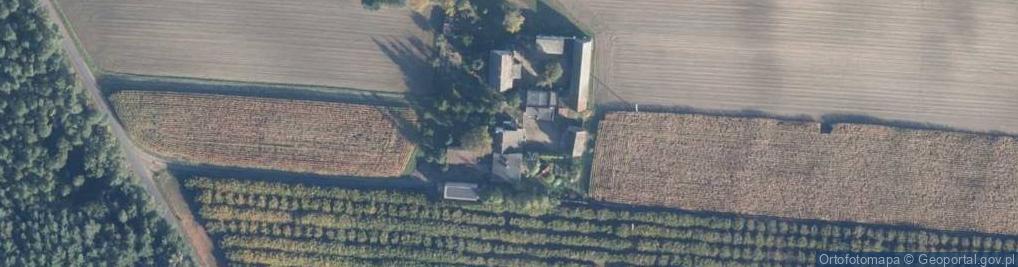 Zdjęcie satelitarne Michorzewko ul.