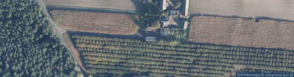 Zdjęcie satelitarne Michorzewko ul.
