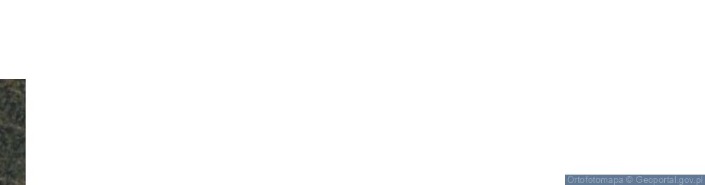 Zdjęcie satelitarne Mielcuchy Pierwsze ul.