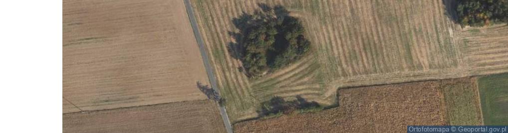 Zdjęcie satelitarne Mielno ul.