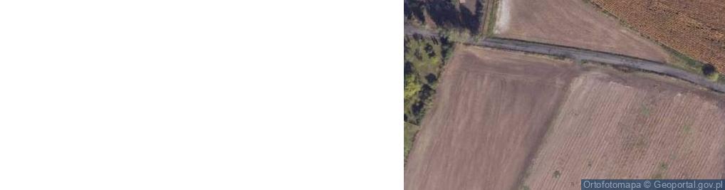 Zdjęcie satelitarne Mierogoniewice ul.