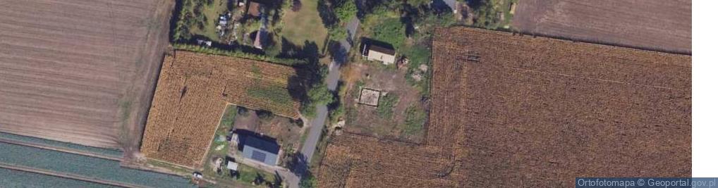 Zdjęcie satelitarne Mierogoniewice ul.