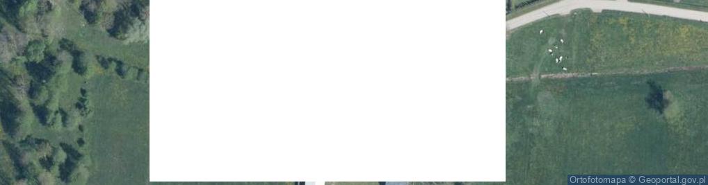Zdjęcie satelitarne Mierzwin Duży ul.