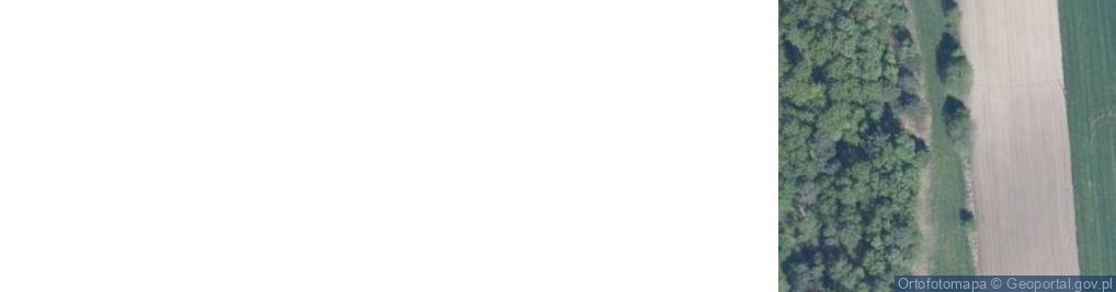 Zdjęcie satelitarne Mierzynówka ul.