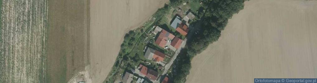 Zdjęcie satelitarne Mieszkowice ul.