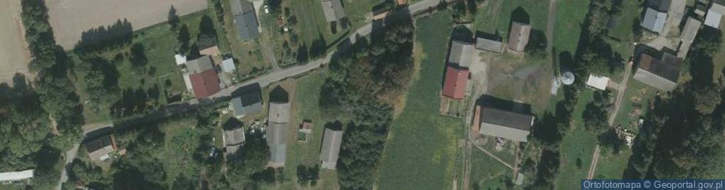 Zdjęcie satelitarne Mieszkowice ul.