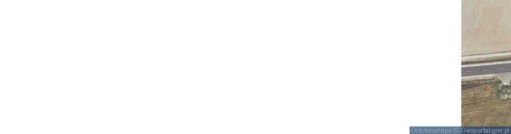 Zdjęcie satelitarne Mikuszewo ul.