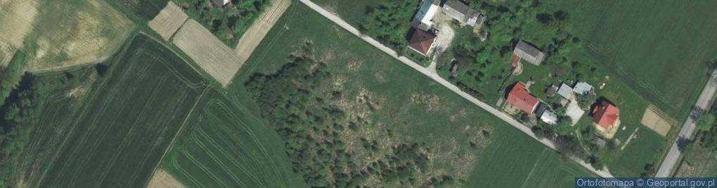 Zdjęcie satelitarne Minoga ul.