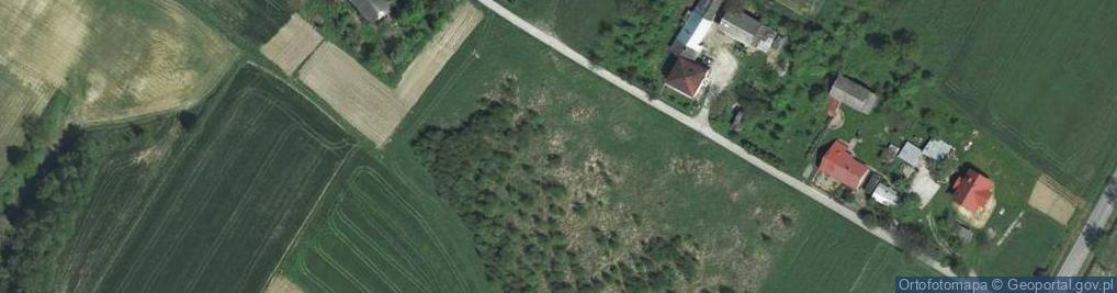 Zdjęcie satelitarne Minoga ul.