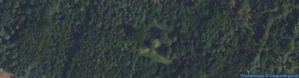 Zdjęcie satelitarne Miszory ul.