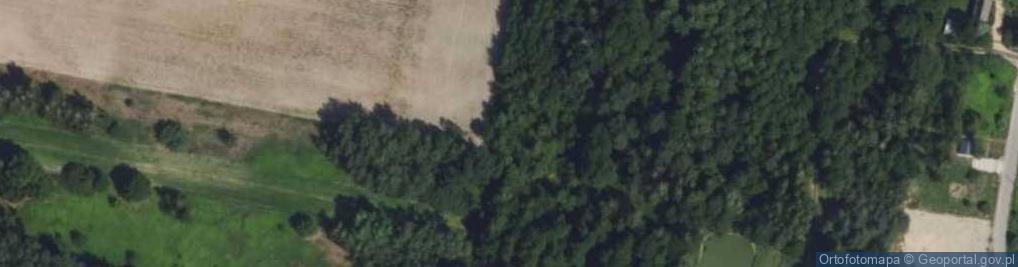 Zdjęcie satelitarne Miodowa ul.