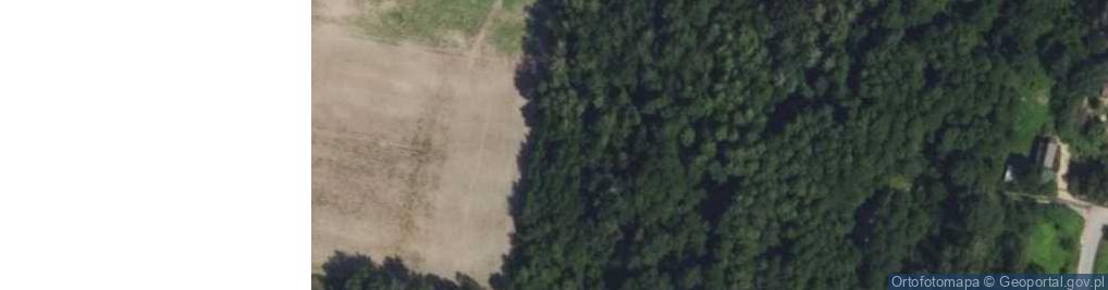 Zdjęcie satelitarne Miodowa ul.