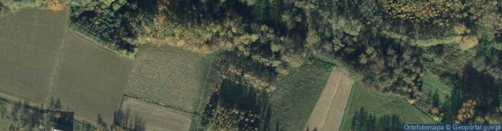 Zdjęcie satelitarne Mickiewicza Adama ul.