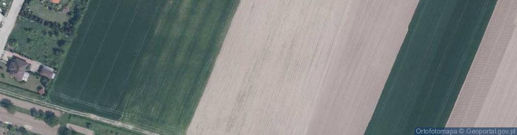 Zdjęcie satelitarne Migdałowa ul.