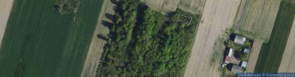 Zdjęcie satelitarne Michałów ul.