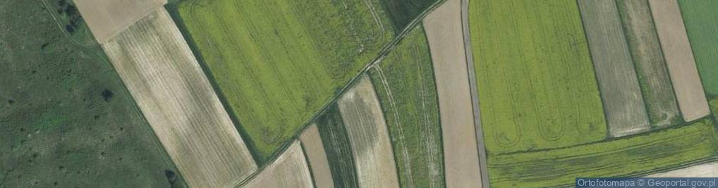 Zdjęcie satelitarne Miechowska ul.