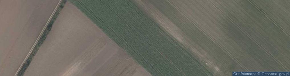 Zdjęcie satelitarne Mickiewicza Adama ul.