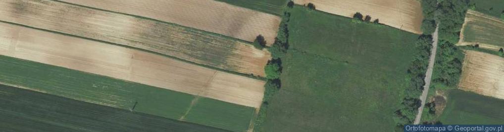 Zdjęcie satelitarne Międzygaje ul.