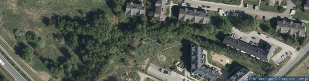 Zdjęcie satelitarne Miodowa ul.
