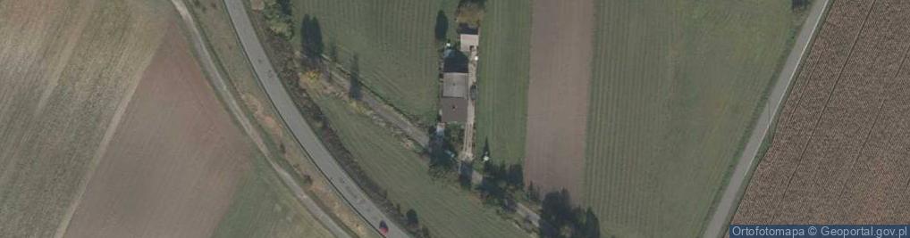 Zdjęcie satelitarne Mickiewicza Adama ul.