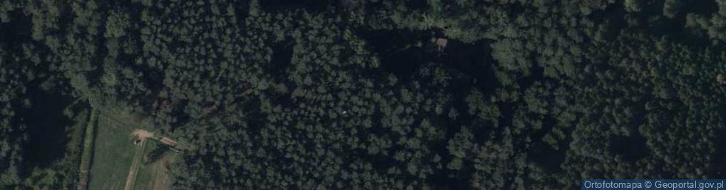 Zdjęcie satelitarne Młyńska ul.