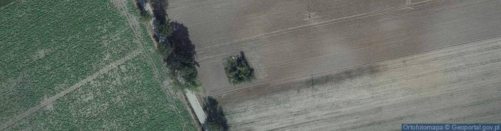 Zdjęcie satelitarne Mlewiec ul.